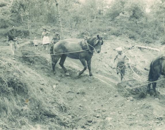 Sant Roc, depuis 1955.