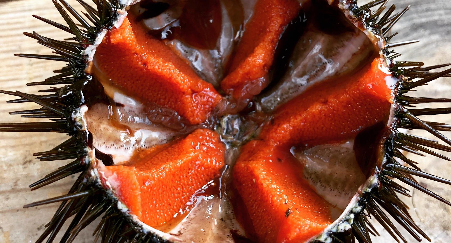 Oferta Garoinada 2026