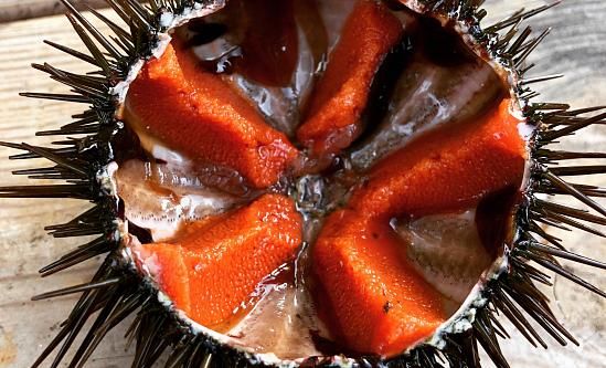 Offre Garoinada 2026